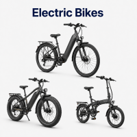 Electric Bikes